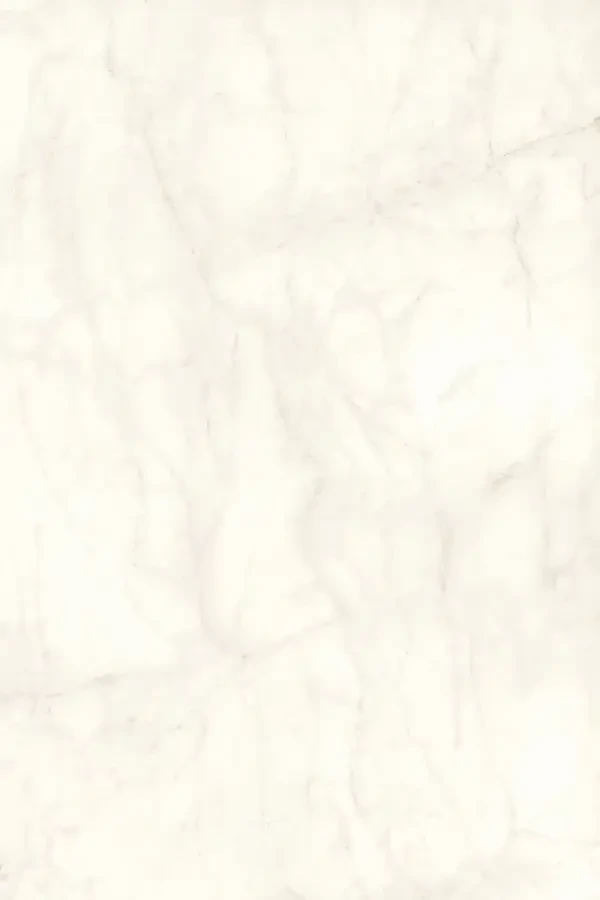 calacatta delicato